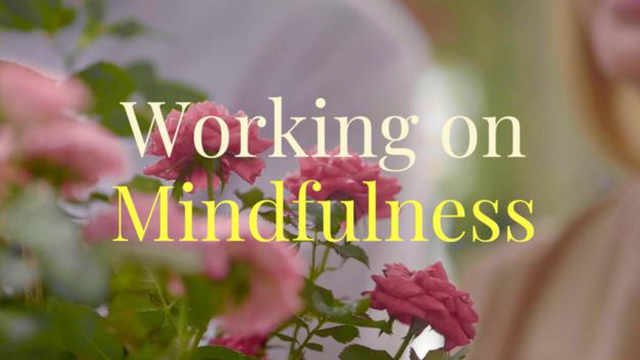 Working on Mindfulness